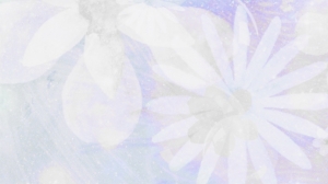 2021-09-16 23.38.07.jpg